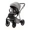 ADAMEX Kombikinderwagen Delta Natura Moon