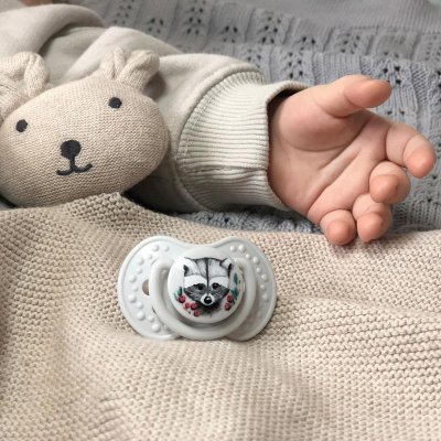 LOVI Schnuller mit Mini-Etikett 0-2 m, Silikon, dynamisch, Wild Soul, 2 Stück, Junge