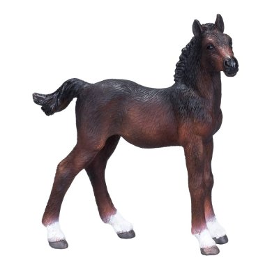 Mojo Hanoverian Foal Bay