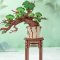 RoboTime 3D Holzpuzzle Bonsai Kiefer