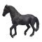 Mojo Andalusian Black Horse