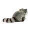 Rappa Pluche wasbeer 22 cm ECO-FRIENDLY