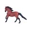 Mojo Caballo Lusitano marrón