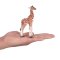 Mojo Baby Giraffe
