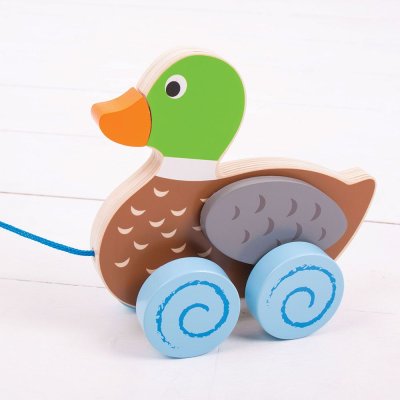 Bigjigs Baby Nachzieh-Ente