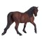 Mojo Morgan Horse Brown