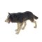 Mojo Lobo Florestal