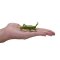 Mojo Mini monde Insectes et araignées 12 pcs