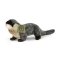 Rappa Pluche Otter 18 cm ECO-FRIENDLY