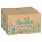 PAMPERS Active Baby Wegwerfwindeln 5 (11-16 kg) 150 Stück - MONATLICHER VORRAT