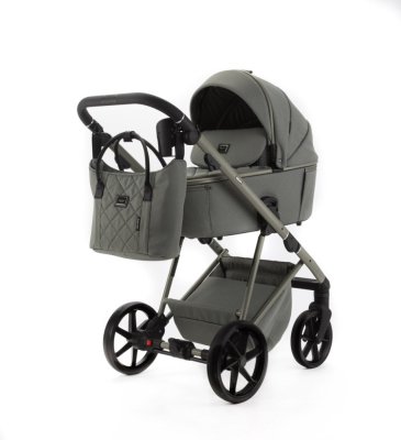ADAMEX Kombikinderwagen Delta Natura Salvia