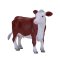 Mojo Krowa Hereford