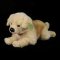 Rappa Plyschhund Golden Retriever liggande 39 cm ECO-FRIENDLY