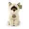 Rappa Plyšová kočka Ragdoll 23 cm SOFT COLLECTION, ECO-FRIENDLY