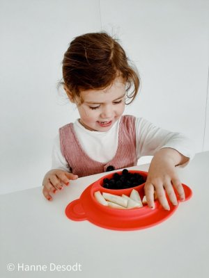 NUBY Teller mit Saugnapf – Monkey 9 m+, rot