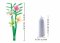 Sluban Flowers M38-B1101-13 Freesia dans un vase