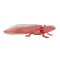 Mojo Axolotl