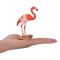 Mojo Flamingo Caraibean