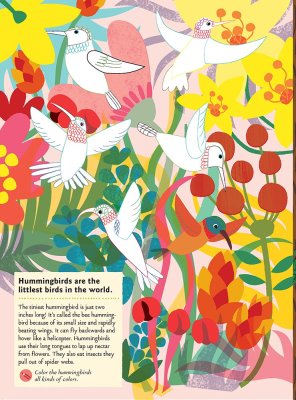 Chronicle Books Książka z naklejkami Moja natura Ptaki świata