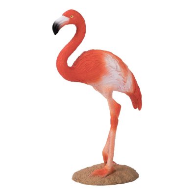 Mojo Flamingo Caraibean