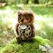 Rappa Gufo di peluche 20 cm ECO-FRIENDLY