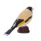 Mojo Goldfinch