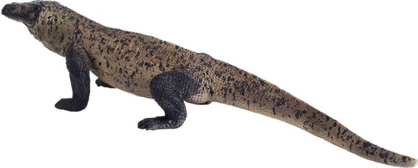 Mojo Waran z Komodo