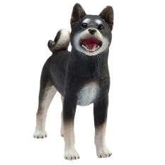 Mojo Hund Shiba Inu Schwarz