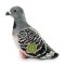 Rappa Pombo de pelúcia 22 cm ECO-FRIENDLY