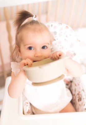 CEBA BABY Vložka do jídelní židličky (38x28) Basic Koala