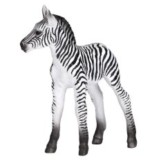 Mojo Zebra Junges