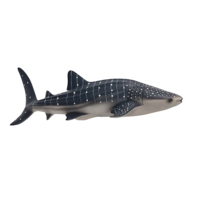 Mojo Whale Shark