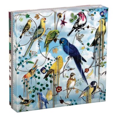Galison Dubbelzijdige Puzzel Vogelsymfonie 250 stukjes