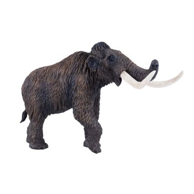Mojo Mamut włochaty