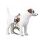 Mojo Nyckelring Jack Russel Terrier
