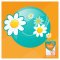 Pieluchy PAMPERS Active Spodnie niemowlęce rozm. 8 (32 szt.) 19+ kg