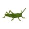 Mojo Mini monde Insectes et araignées 12 pcs