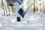 Be Lenka Botas de invierno para niños Snowfox Kids 2.0 - Dark & Light Blue