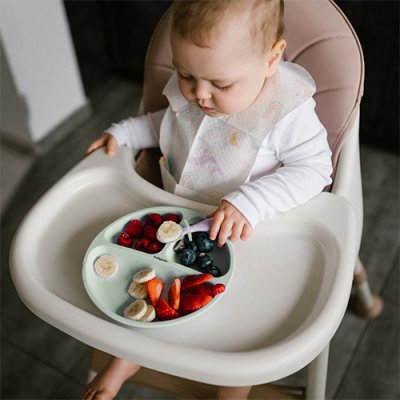 BABYONO Silikonski tanjur s usisnom čašom - sage 6m+