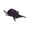 Mojo Mini monde Insectes et araignées 12 pcs