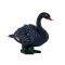 Mojo Cisne Negro