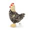 Rappa Galinha de pelúcia em pé 33 cm ECO-FRIENDLY