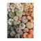 Puzzle Galison Dovleci ornamentali 1000 piese