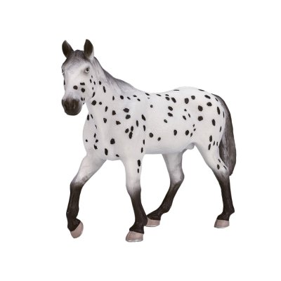 Mojo Appaloosa armăsar