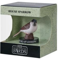 Mojo Wróbel zwyczajny w pudełku