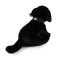 Rappa Câine de pluș labrador negru 25 cm ECO-FRIENDLY