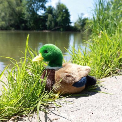 Rappa Pluche eend 20 cm ECO-FRIENDLY