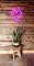 2Kids Toys LED NEON LIGHT lampka Serca