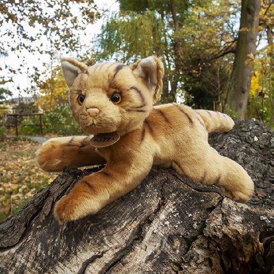 Rappa Chat en peluche couché 30 cm ECO-FRIENDLY