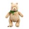 Rainbow Plush Winnie the Pooh with Green Bow 22 cm